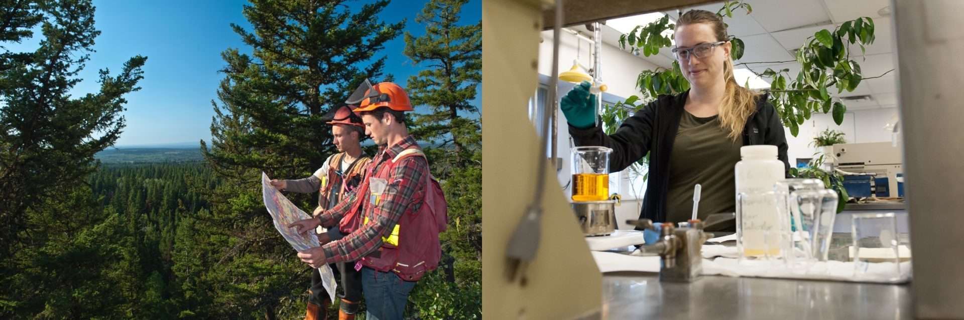 BC forest industry jobs for the future